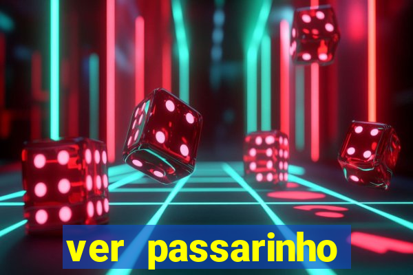 ver passarinho morto significado